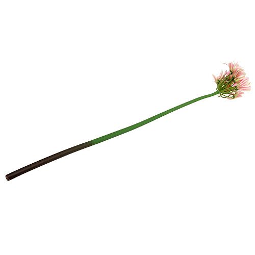 Floristik24 Silkeblomst agapanthus pink 80cm