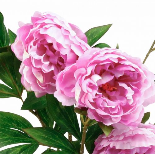 Floristik24 Silkeblomstpæon kunstig pink violet 135cm