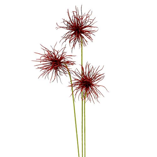 Floristik24 Silkeblomster Xanthium Bordeaux 64cm 4stk