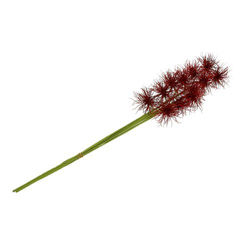 Floristik24 Silkeblomster Xanthium Bordeaux 64cm 4stk
