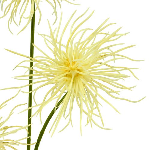 Artikel Silke blomster xanthium creme 63cm 4stk