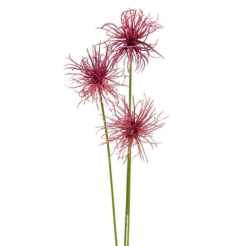Floristik24 Silke blomster Xanthium erika 63cm 4stk