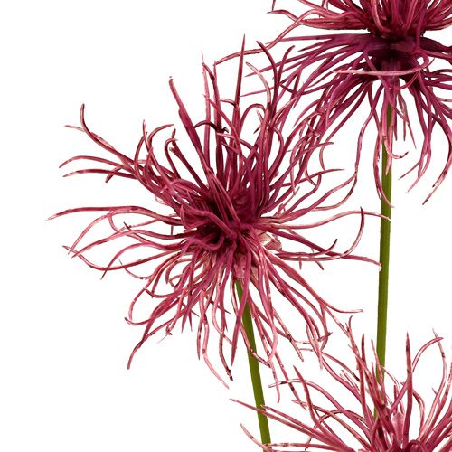 Artikel Silke blomster Xanthium erika 63cm 4stk