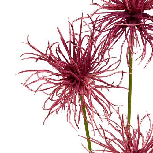 Floristik24 Silke blomster Xanthium erika 63cm 4stk