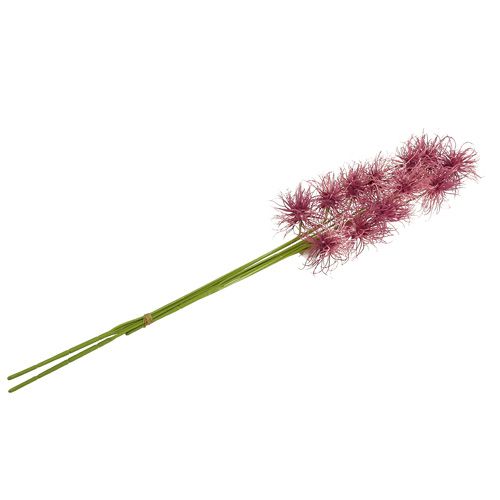 Floristik24 Silke blomster Xanthium erika 63cm 4stk