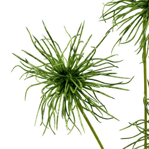 Floristik24 Silke blomster xanthium grøn 63 cm 4stk