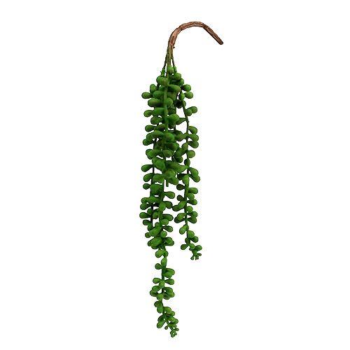 Floristik24 Senecio bøjle 36cm grøn