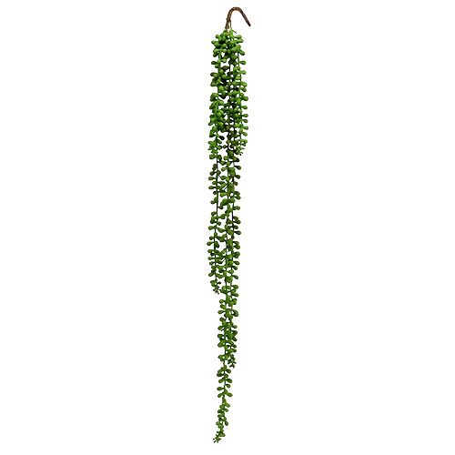 Senecio bøjle 75cm grøn