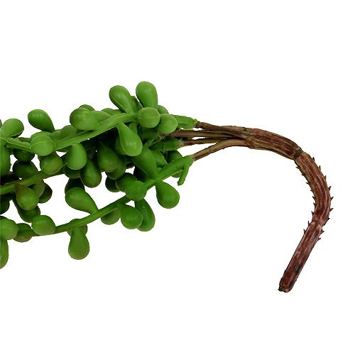 Floristik24 Senecio bøjle 75cm grøn