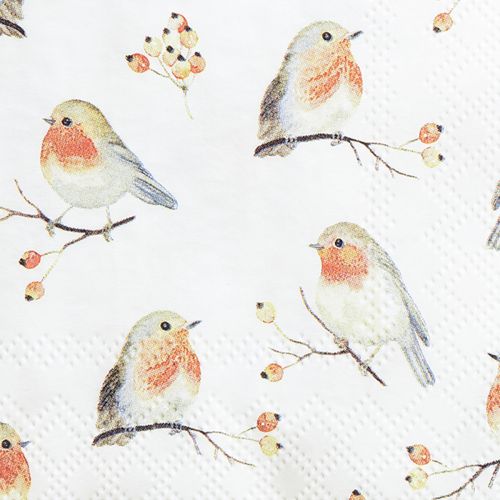 Floristik24 Servietter Autumn Robin Hyben 25x25cm 20 stk