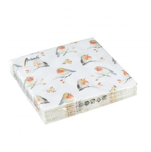 Floristik24 Servietter Autumn Robin Hyben 25x25cm 20 stk