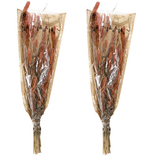 Artikel Setaria børstehårs hirse tør dekoration laks 69cm 70-75g x 2stk