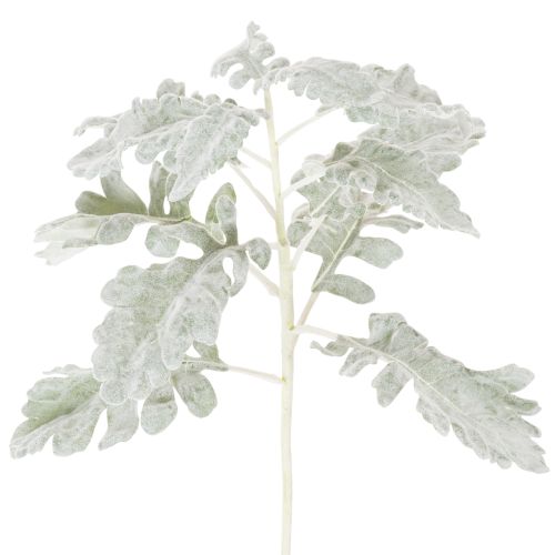 Kunstig Senecio-gren, sølvblad, detaljeret udført, 45 cm, 3 stk.