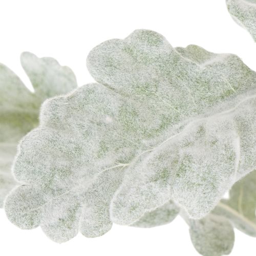 Kunstig Senecio-gren, sølvblad, detaljeret udført, 45 cm, 3 stk. | Floristik24.dk
