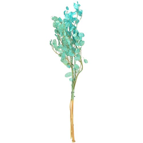 Artikel Tørret sølvblad Lunaria lyseblå 65-70 cm 20 g