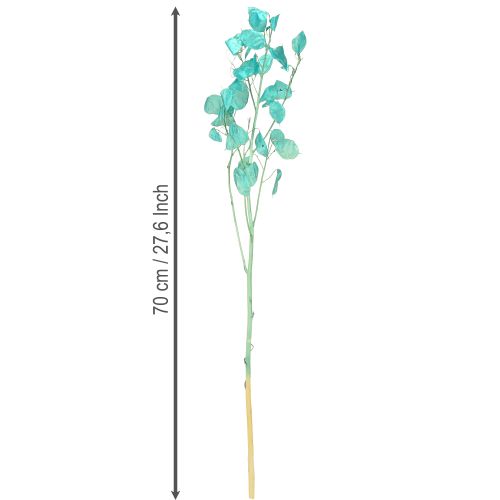 Artikel Tørret sølvblad Lunaria lyseblå 65-70 cm 20 g
