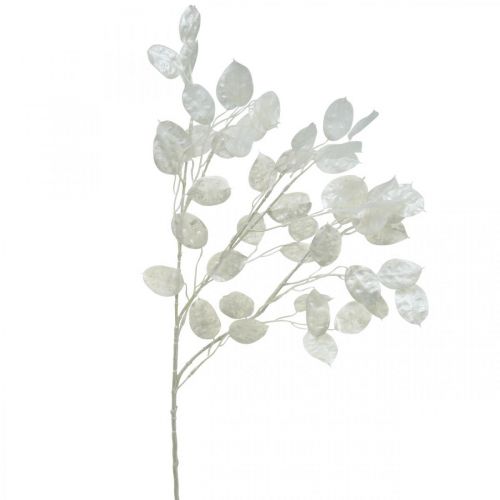 Floristik24 Dekorativ gren sølvblad hvid Lunaria gren kunstig gren 70cm