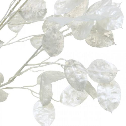 Floristik24 Dekorativ gren sølvblad hvid Lunaria gren kunstig gren 70cm