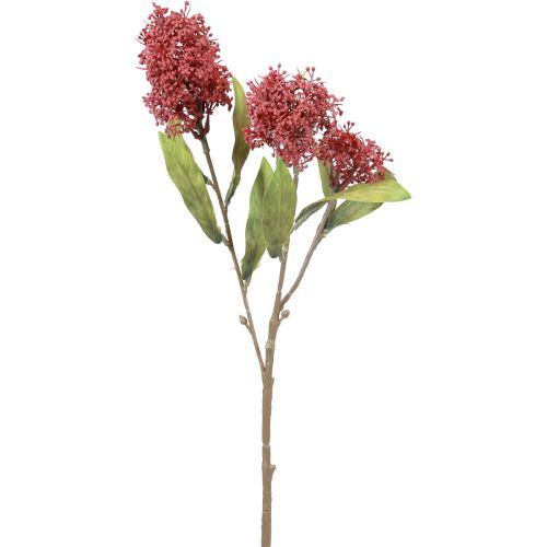 Skimmie Skimmia Japonica kunstige blomster Burgundy DryLook L59cm
