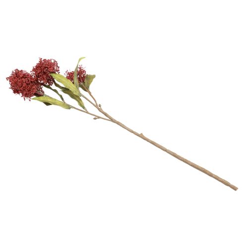 Artikel Skimmie Skimmia Japonica kunstige blomster Burgundy DryLook L59cm