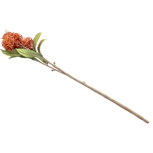 Artikel Skimmie Skimmia Japonica kunstige blomster Orange DryLook L59cm
