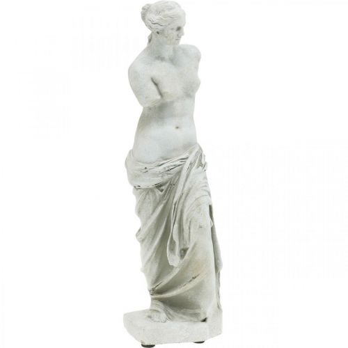 Floristik24 Venus statue dekorativ skulptur H29cm gråbrun dekorativ figurhave