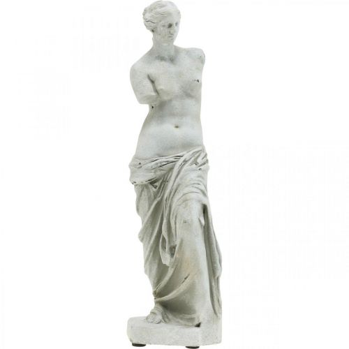 Floristik24 Venus statue dekorativ skulptur H29cm gråbrun dekorativ figurhave