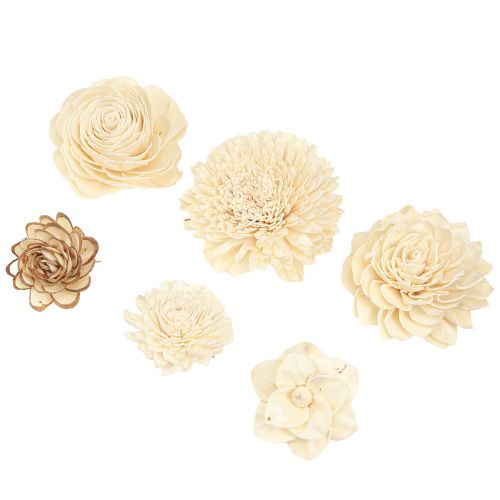 Floristik24 Sola Blomster Træ Træ Blomster Dekoration Mix Creme 6-11cm 12-15 stk.