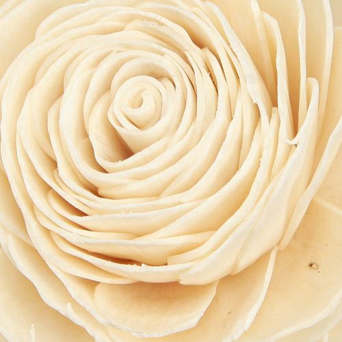 Artikel Sola Blomster Træ Træ Blomster Dekoration Mix Creme 6-11cm 12-15 stk.