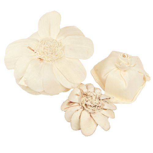 Artikel Sola Blomster Træ Træ Blomster Dekoration Mix Creme 6-11cm 12-15 stk.