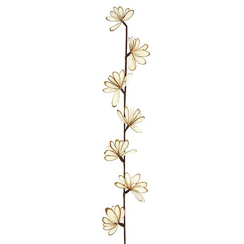 Floristik24 Sola Chips Sunny Stick Brun, Hvid 6 stk.