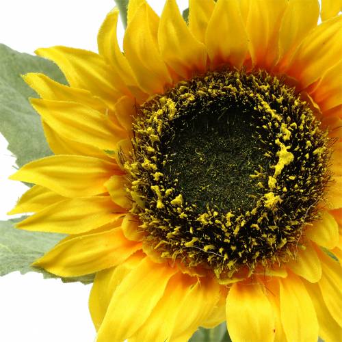 Floristik24 Solsikke silkeblomst 66 cm