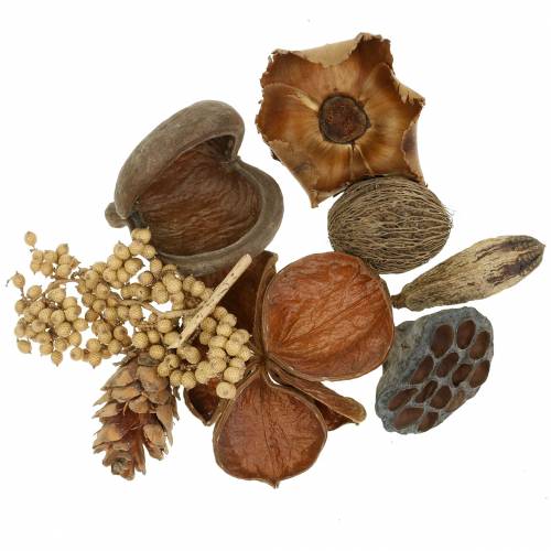 Floristik24 Eksotisk sortiment med strobus kegler natur 300g