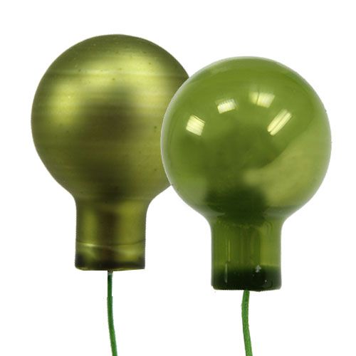 Floristik24 Spejlbær Waldmarie Mix 20mm 140p