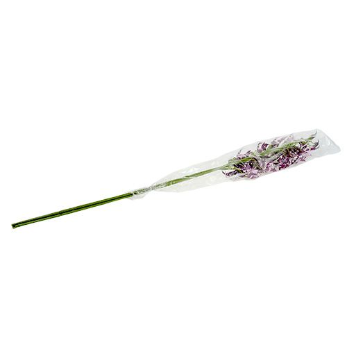 Floristik24 Edderkoporkideer Brassia lilla 108cm 3stk