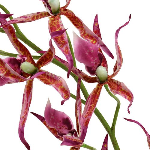 Artikel Spider orkideer pink-orange 108 cm 3stk