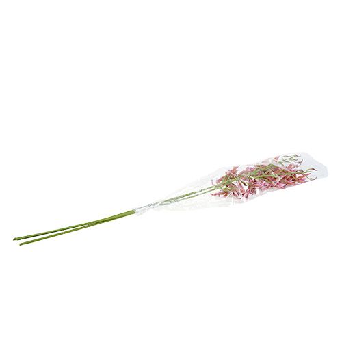 Floristik24 Spider orkideer pink-orange 108 cm 3stk