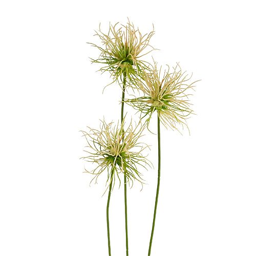 Floristik24 Burdock grene creme-grøn 63 cm 4stk