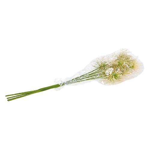 Floristik24 Burdock grene creme-grøn 63 cm 4stk