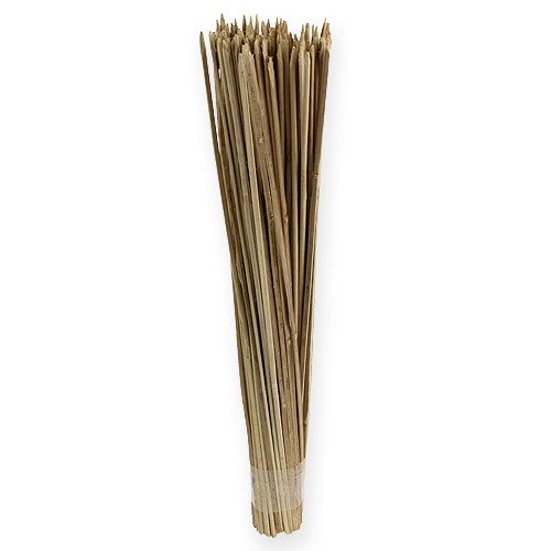 Floristik24 Chip sticks 50cm naturlig 100p