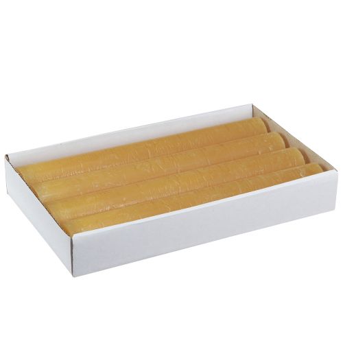 Floristik24 Koniske lys ensfarvede lys honning 34x240mm 4 stk