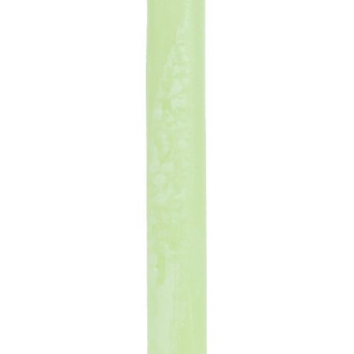 Artikel Koniske stearinlys ensfarvede limegrønne 21×240 mm 12 stk.
