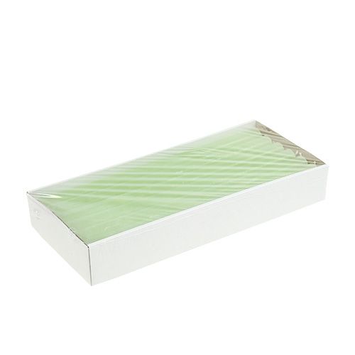 Artikel Koniske stearinlys ensfarvede limegrønne 21×240 mm 12 stk.