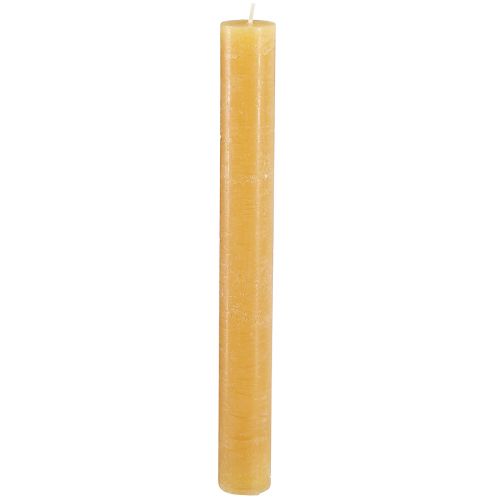 Floristik24 Koniske lys ensfarvet honning 34x300mm 4 stk