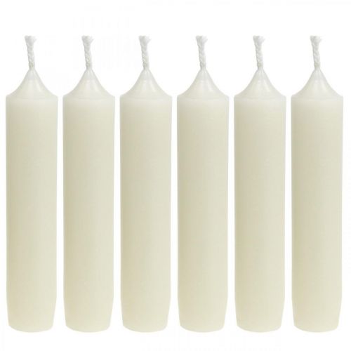 Floristik24 Stanglys korte Stearinlys creme til arrangement Ø22/110mm 6stk