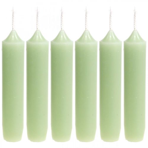 Floristik24 Lys korte grønne lys mint Ø22/110mm 6stk