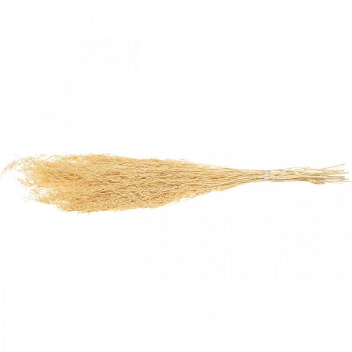 Floristik24 Tørret havlavendelcreme Statice Dry Deco 100g