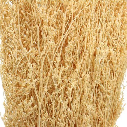 Floristik24 Tørret havlavendelcreme Statice Dry Deco 100g