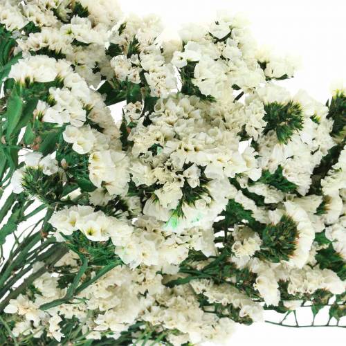 Floristik24 Buket tørrede blomster hav lavendel hvid 40–55cm 120g