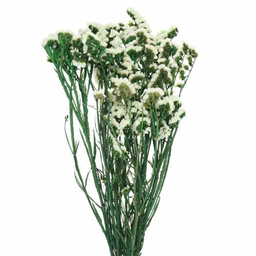 Floristik24 Buket tørrede blomster hav lavendel hvid 40–55cm 120g